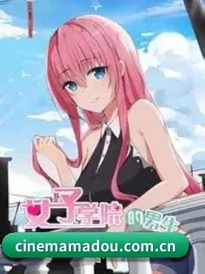 麻豆传媒 APP 深度功能展示
